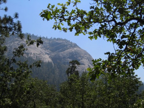 Wawona Dome
