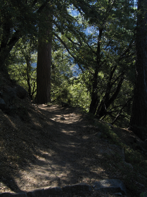 Chilnualna Fall Trail 1