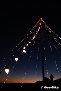 Cerro San Luis Tree at Dusk