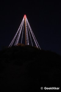 Cerro San Luis tree at night.